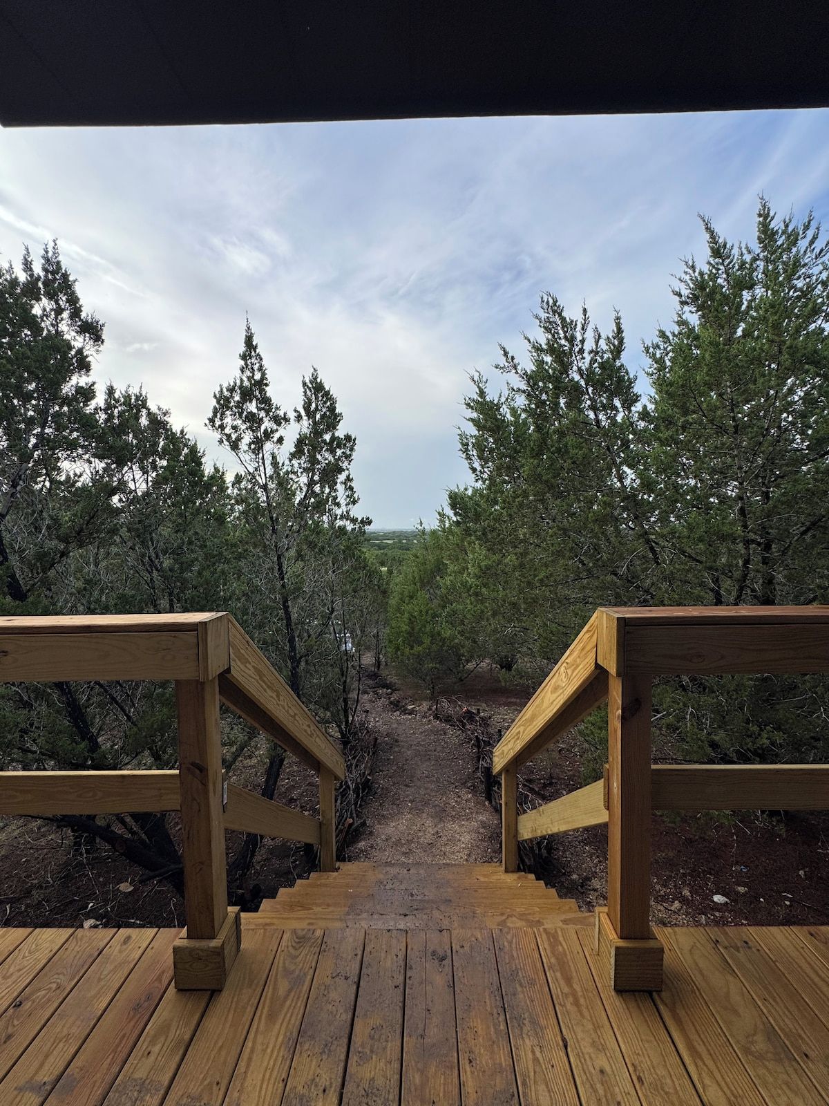 Una terraza de madera que conduce a un sendero de tierra rodeado de árboles.