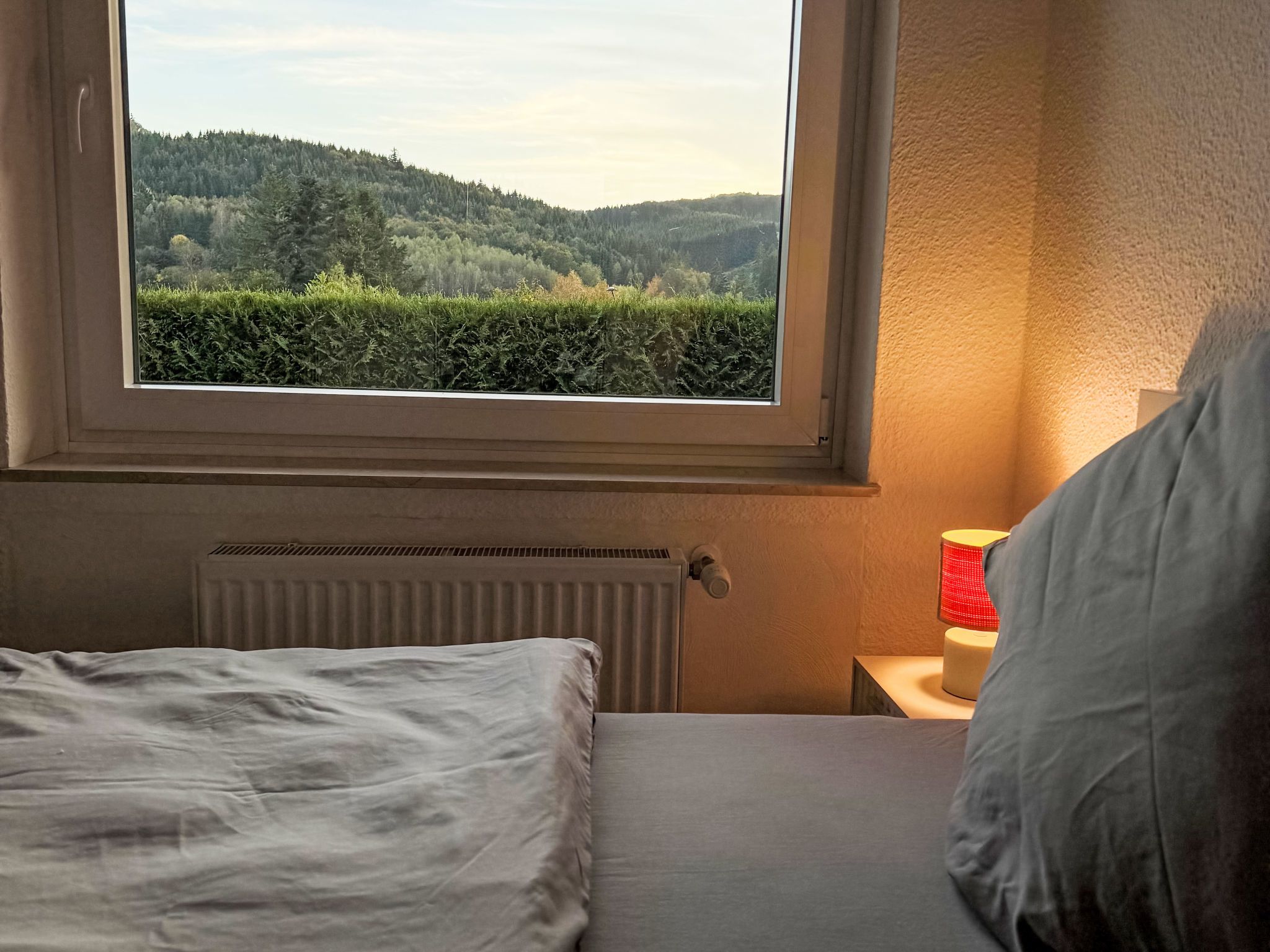 Ein Schlafzimmer mit Bett, Fenster mit Blick auf einen Wald, Heizkörper und Nachttisch mit Lampe.