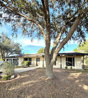 Une maison à deux étages avec un grand arbre devant, une allée et un garage.