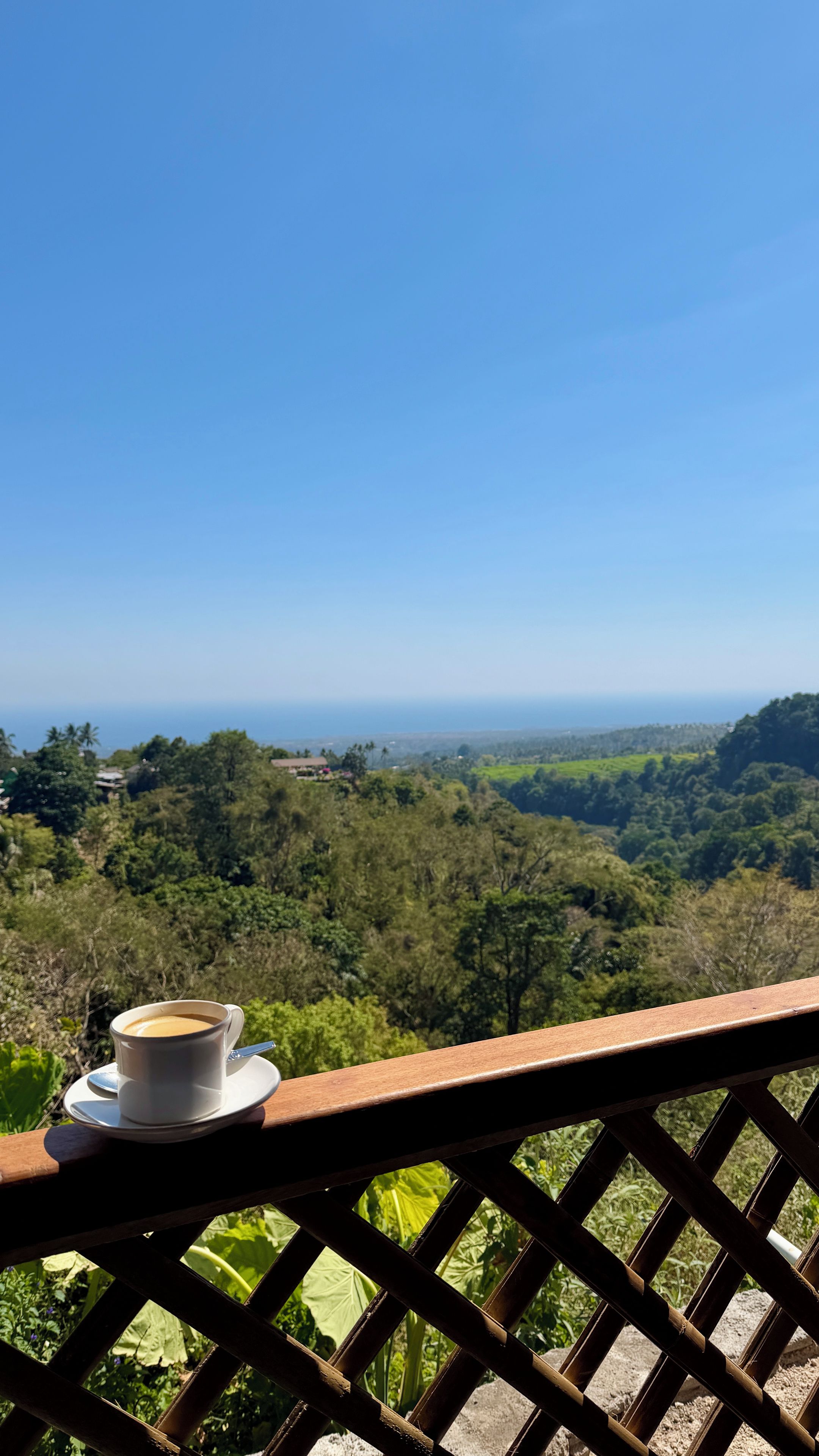 Una taza de café en un balcón con vistas a un paisaje boscoso bajo un cielo despejado.