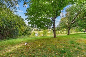 Un parc avec un grand arbre au premier plan, une zone herbeuse et une étendue d’eau en arrière-plan.