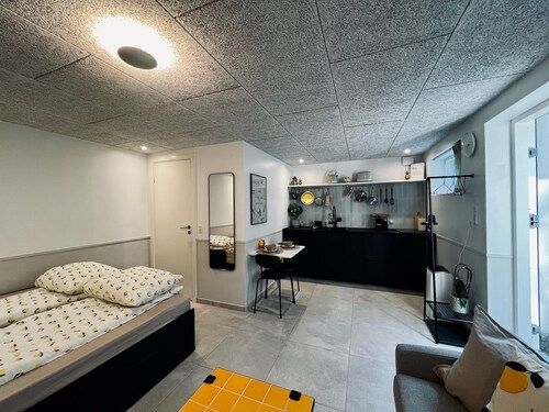 New Cozy Basement Studio Apartment!