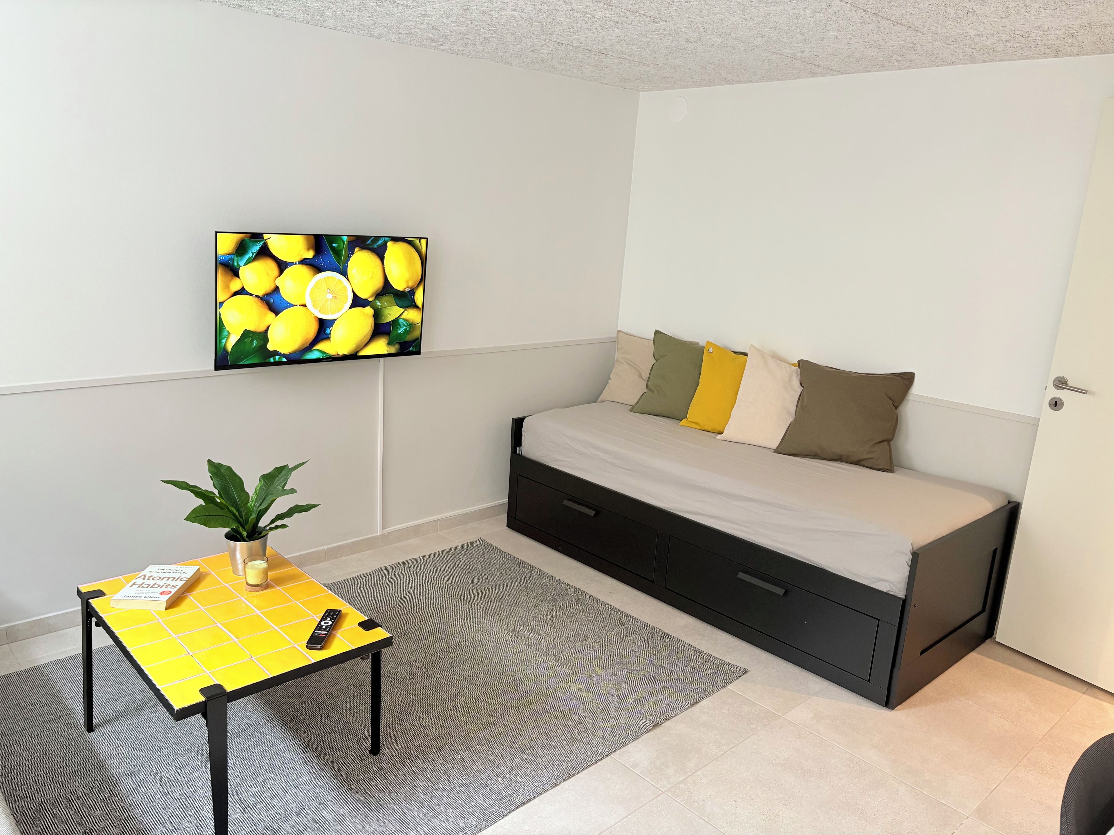 Une petite pièce, bien rangée, avec un lit, un téléviseur fixé au mur, une petite table sur laquelle se trouvent une plante et un livre, et un tapis gris.