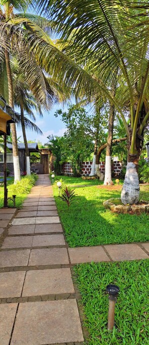 Property grounds - Wood Nest Resort (Arambol)