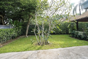 Un jardin agrémenté de divers arbres et arbustes, une structure à toit de chaume et un chemin en béton.