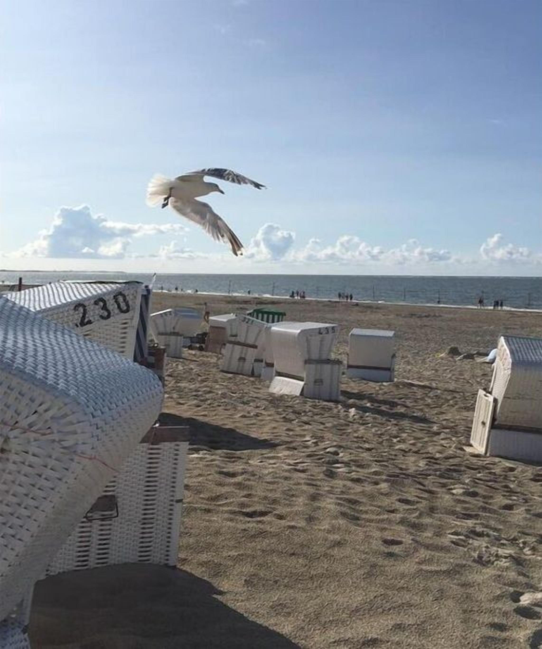 Strand