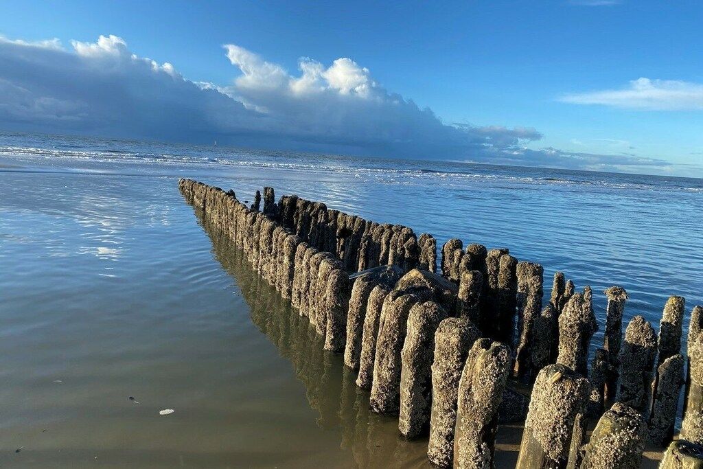Un paisaje costero con un rompeolas de piedra que se extiende hacia aguas tranquilas.