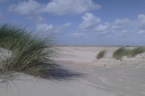 Uma praia com dunas de areia e vegetação rala.