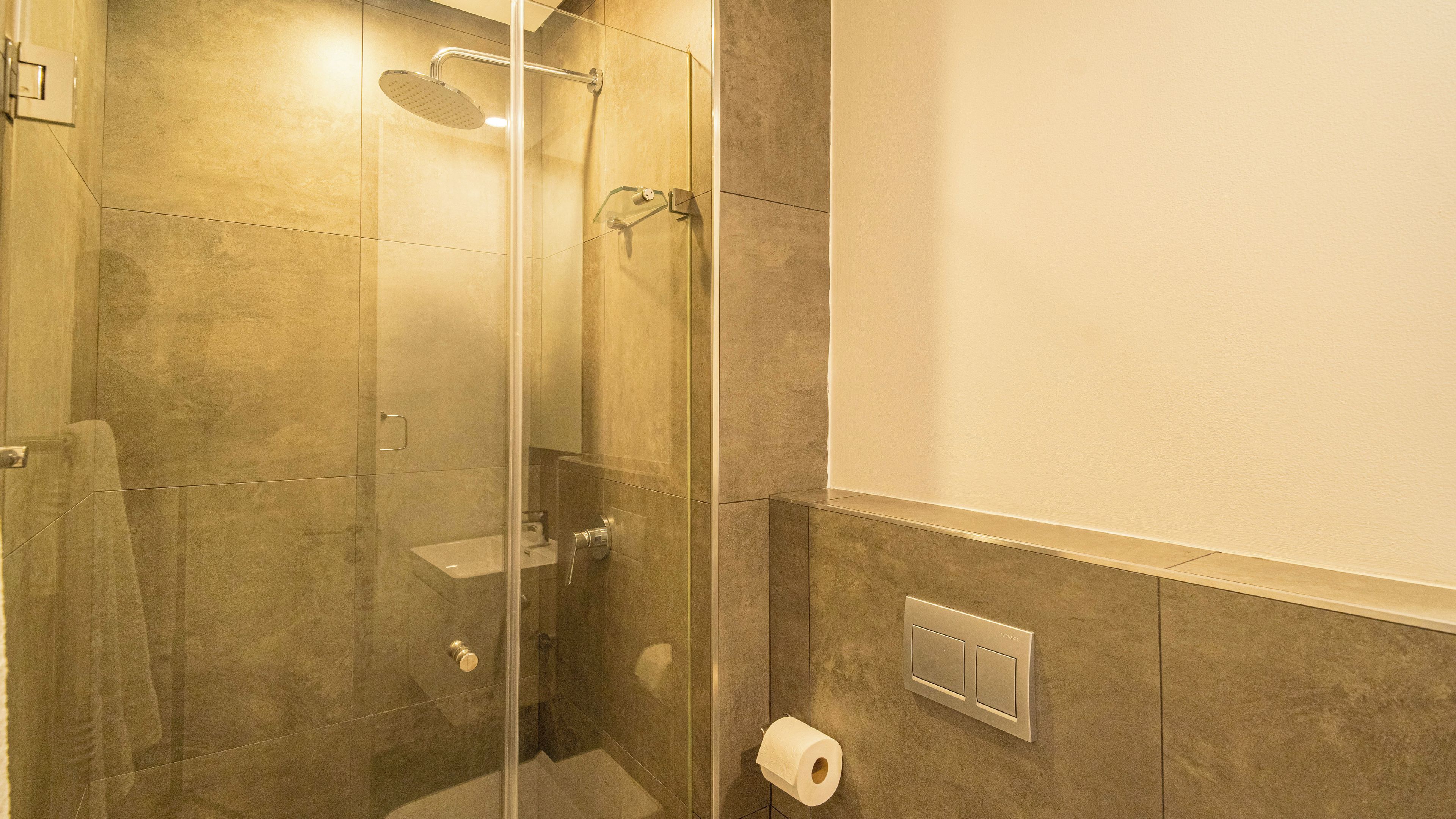 A glass-enclosed shower with a handheld showerhead, a toilet, and a wall-mounted flush handle.
