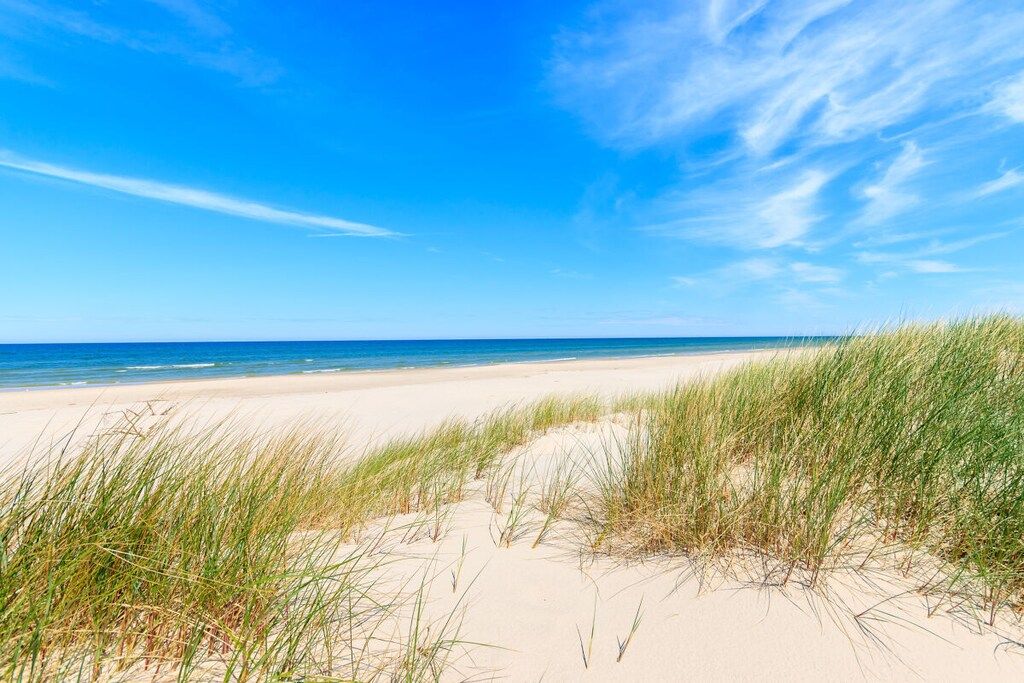 A beach with sand dunes and a clear blue sky.