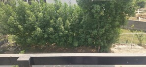 A view of a road with a dense green tree line on one side and a concrete barrier on the other. - Cozy 2-bedroom apartment in peaceful Bahawalpur with AC and gym (Bahawalpur)