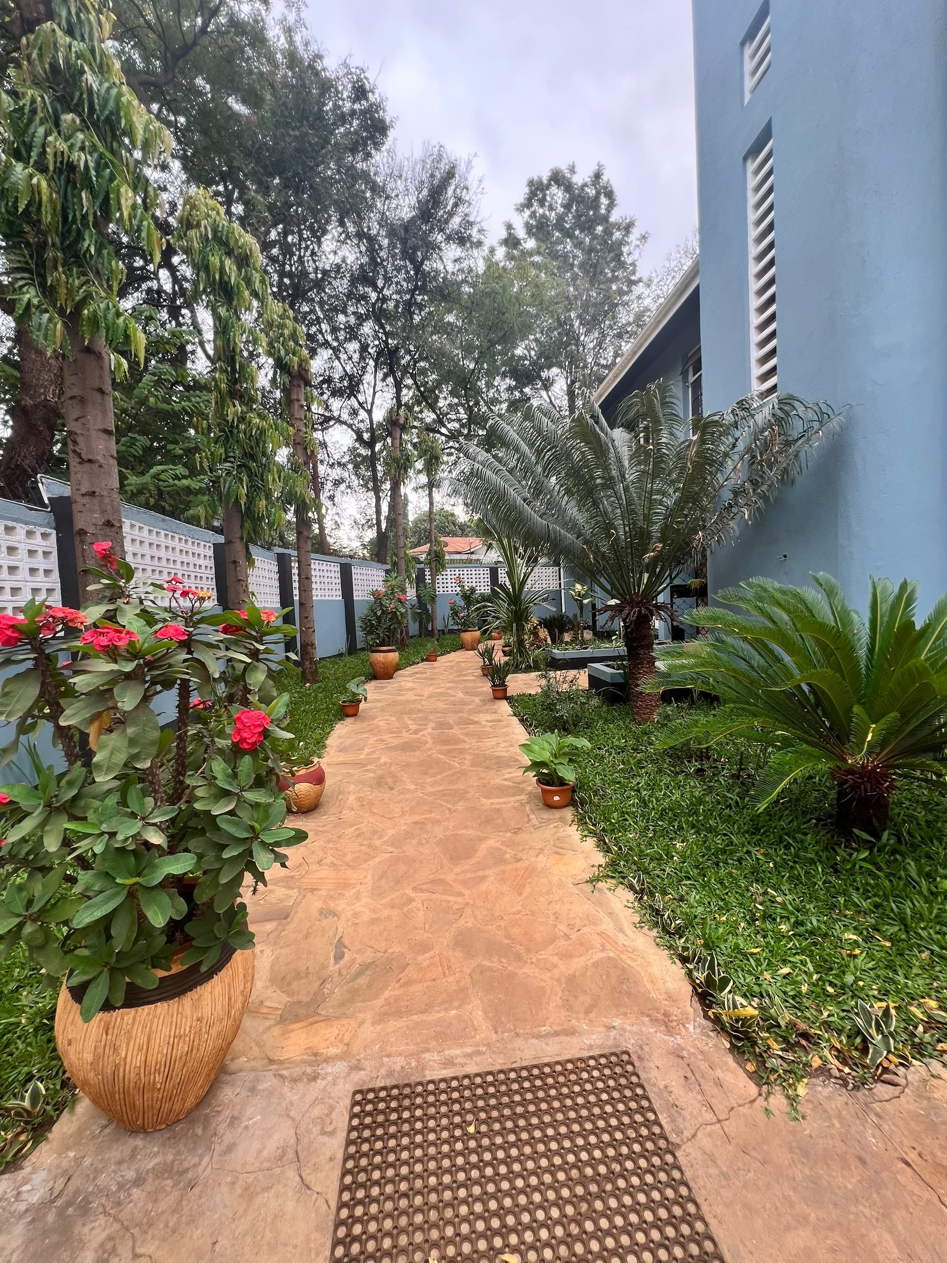 A paved pathway flanked by potted plants and trees, leading to a building with a blue exterior.
