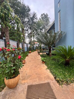 Un camino pavimentado bordeado por plantas en macetas y árboles, que conduce a un edificio de color azul.