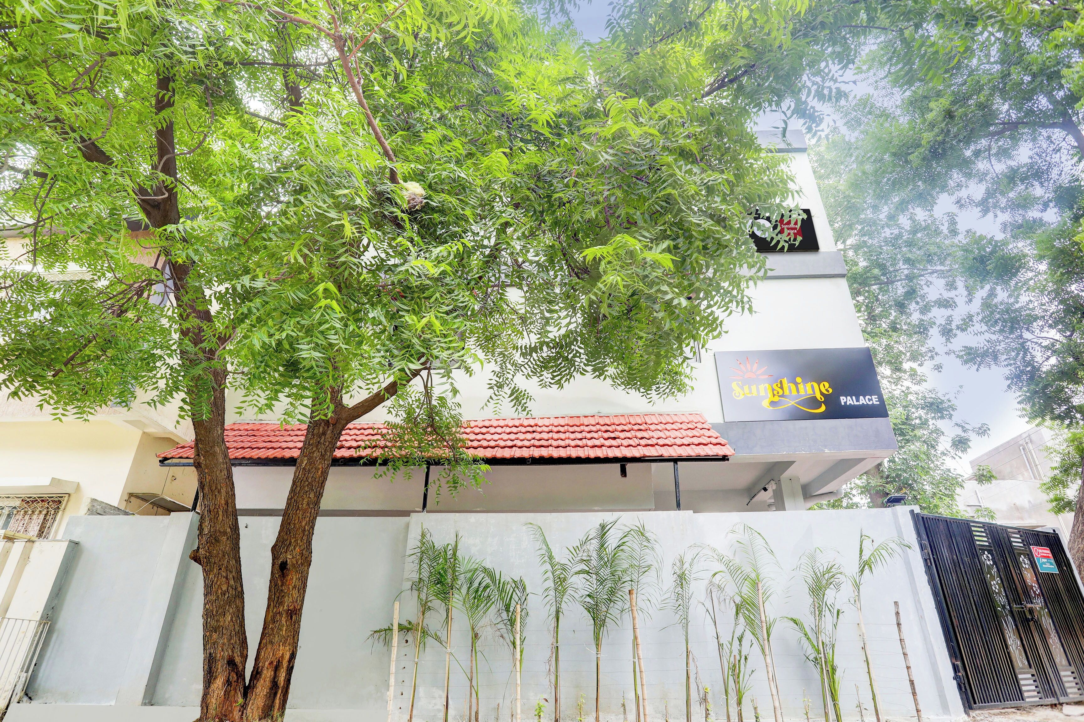 Un edificio con un letrero que dice 'Sunshine Palace' y un árbol en primer plano.