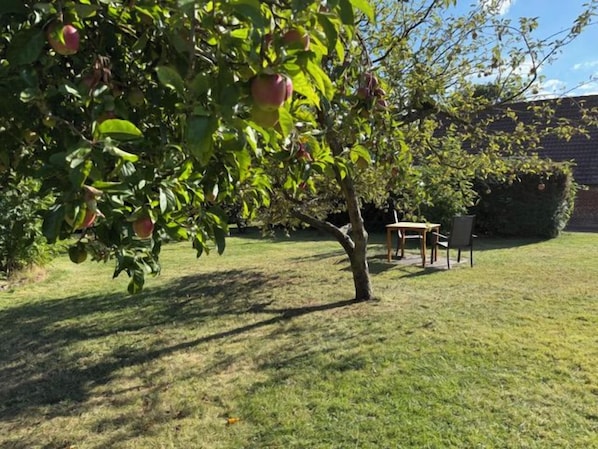 Outdoor dining - Vrbo Property (Pilsum)