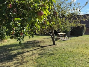 Outdoor dining - Vrbo Property (Pilsum)