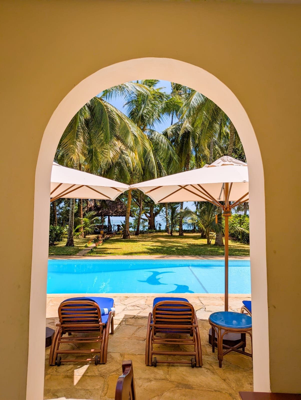 An outdoor pool area with two lounge chairs and umbrellas, surrounded by palm trees and a clear blue pool.