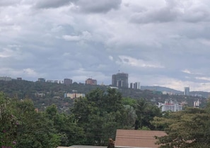 Un paisaje urbano con edificios y árboles bajo un cielo nublado.
