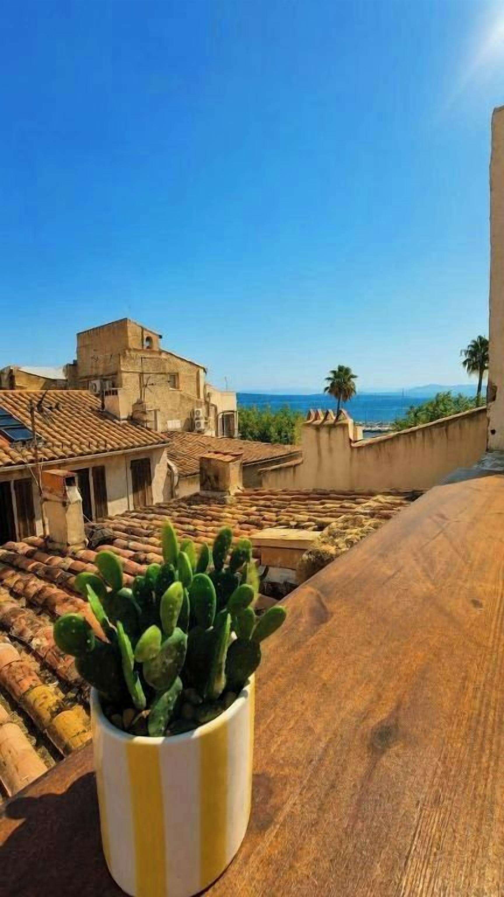Un cactus en maceta sobre un repisa de madera con vista a un pueblo costero con tejados de terracota y un cielo azul despejado.