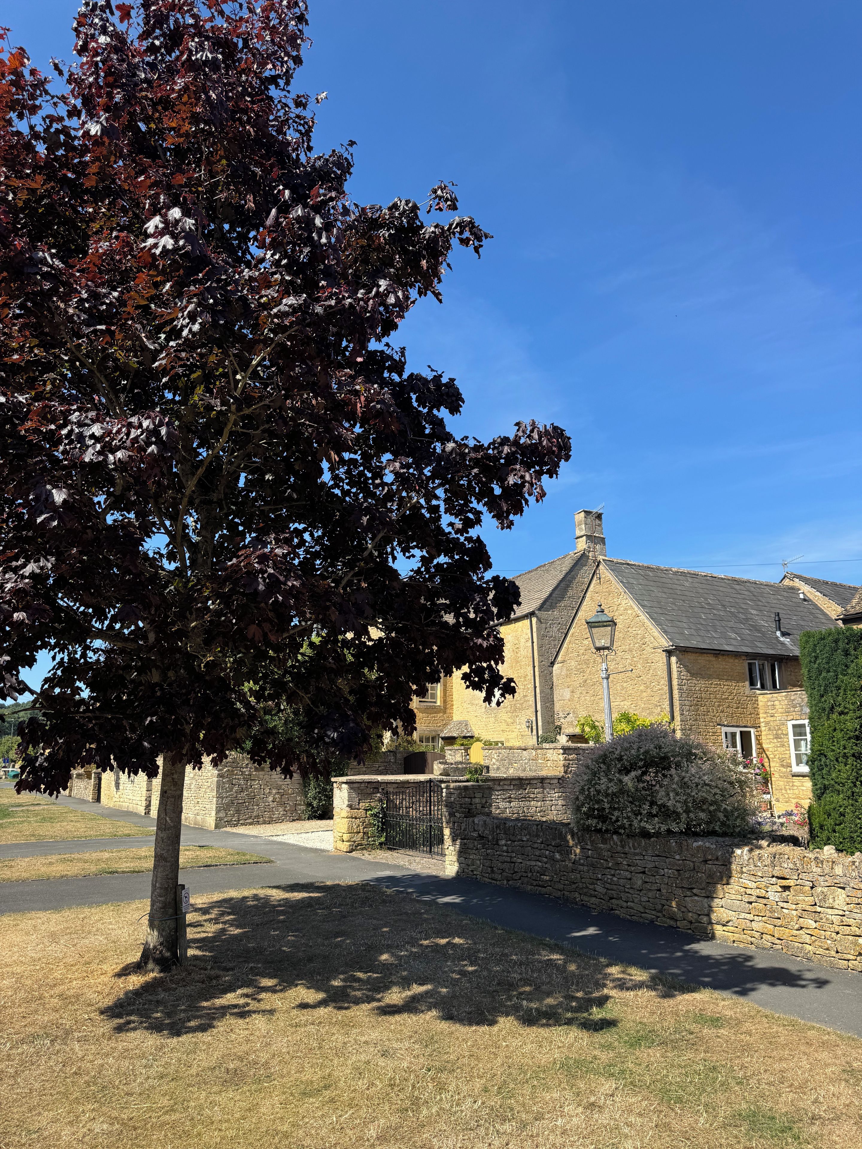 A stone building with a traditional design, a paved driveway, and a large tree in the foreground.