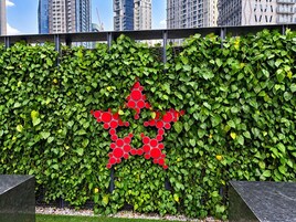Una pared con un fondo de hojas verdes y un diseño circular rojo.