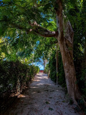 A pathway flanked by trees leading to a structure with a blue roof. - Spacious 4-bedroom paradise villa in Diani Beach with jacuzzi and private pool (Diani Beach)