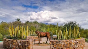 Un jardin de cactus avec une statue de cheval au centre, entouré de murs de pierre et de différentes espèces de cactus.