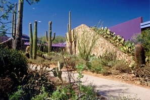 Un paysage désertique avec des cactus et un bâtiment surmonté d’un toit violet.