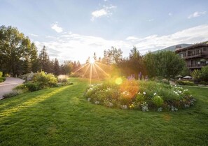 A well-maintained lawn with a variety of plants and flowers, a clear sky, and a building with multiple stories in the background. - 3BR w/Kitchen & Balcony + 2 Heated Pools & Town Shuttle (Vail)