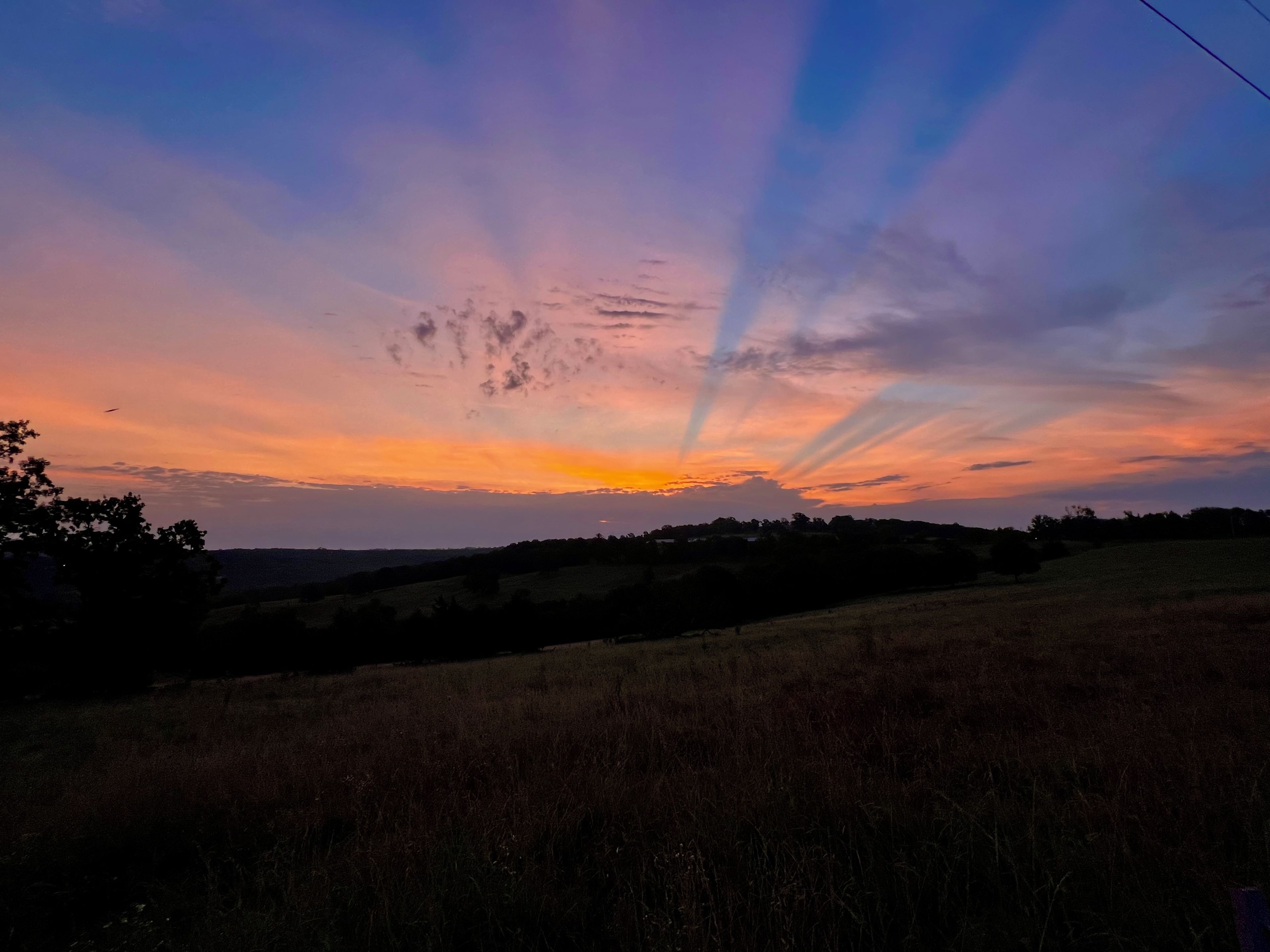 Un coucher de soleil sur un paysage vallonné, avec les silhouettes d’arbres se découpant sur un ciel dégagé.