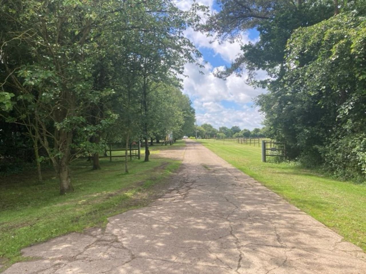 Un chemin pavé, bordé d’arbres et d’herbe, qui mène à une porte.