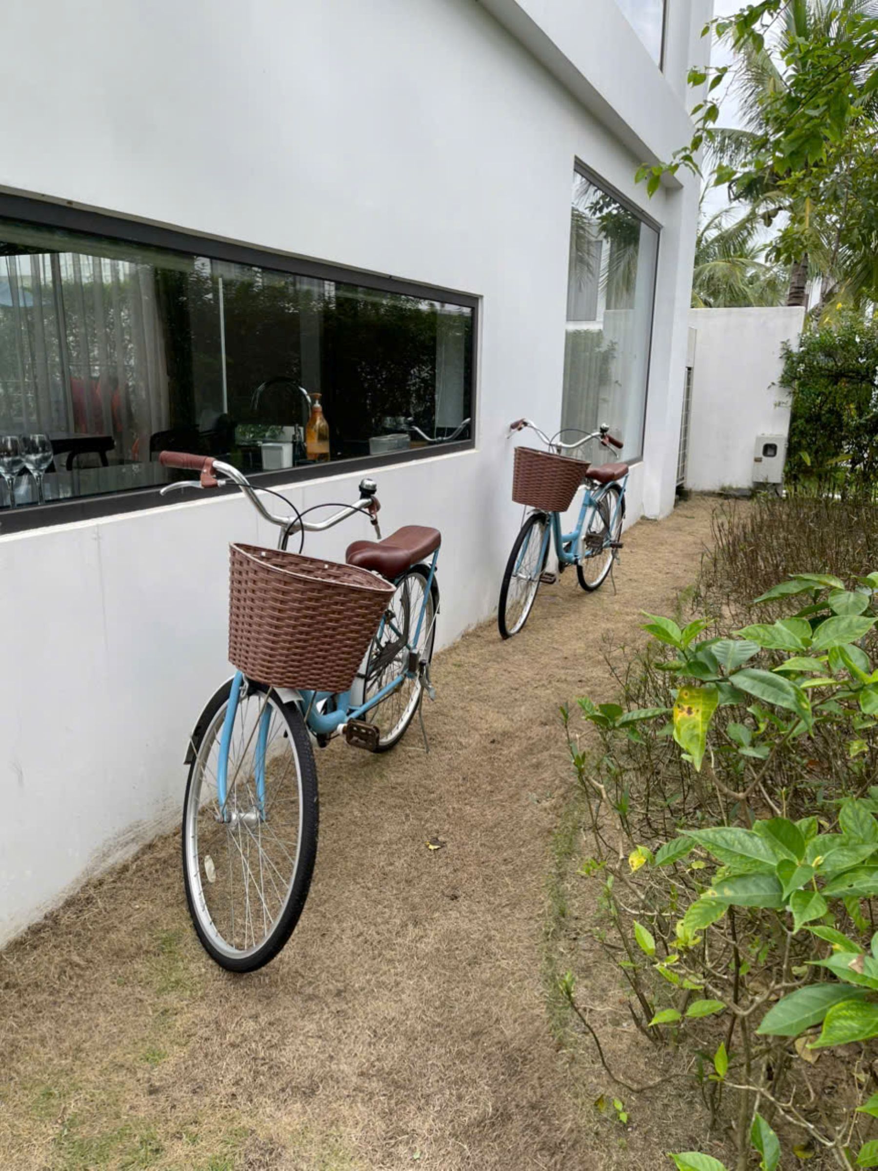 Due biciclette con cestini parcheggiate di fronte a un muro bianco, una finestra e un piccolo giardino con piante.