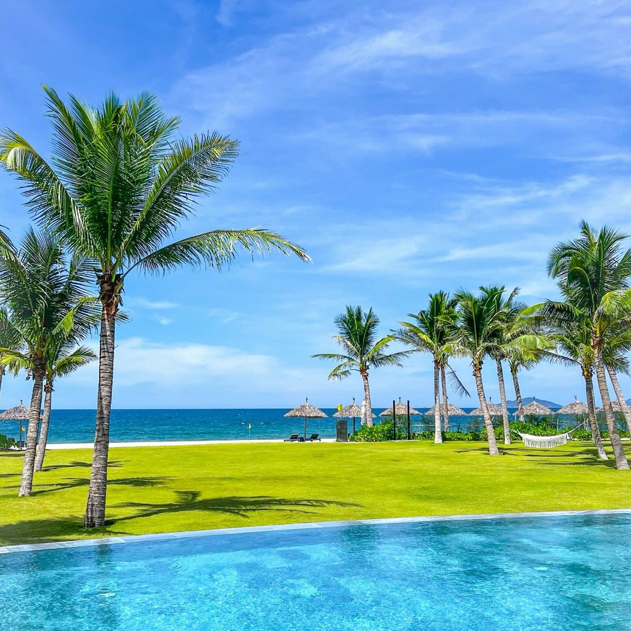 A pool area with palm trees and a clear view of the ocean.