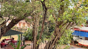 Ein Poolbereich mit Baum, Sitzgelegenheiten im Freien und einem Gebäude im Hintergrund.