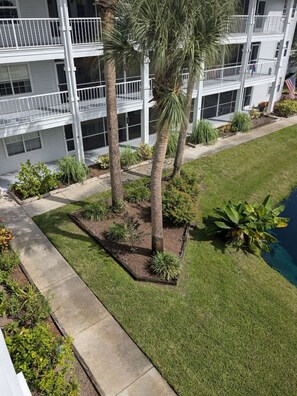 A multi-story building with balconies, a well-maintained lawn, and a small garden area with palm trees and other plants. - Leave it Olive Behind - #527 - Your Lanai Above the Fountain, Clothing Optional (Lutz)