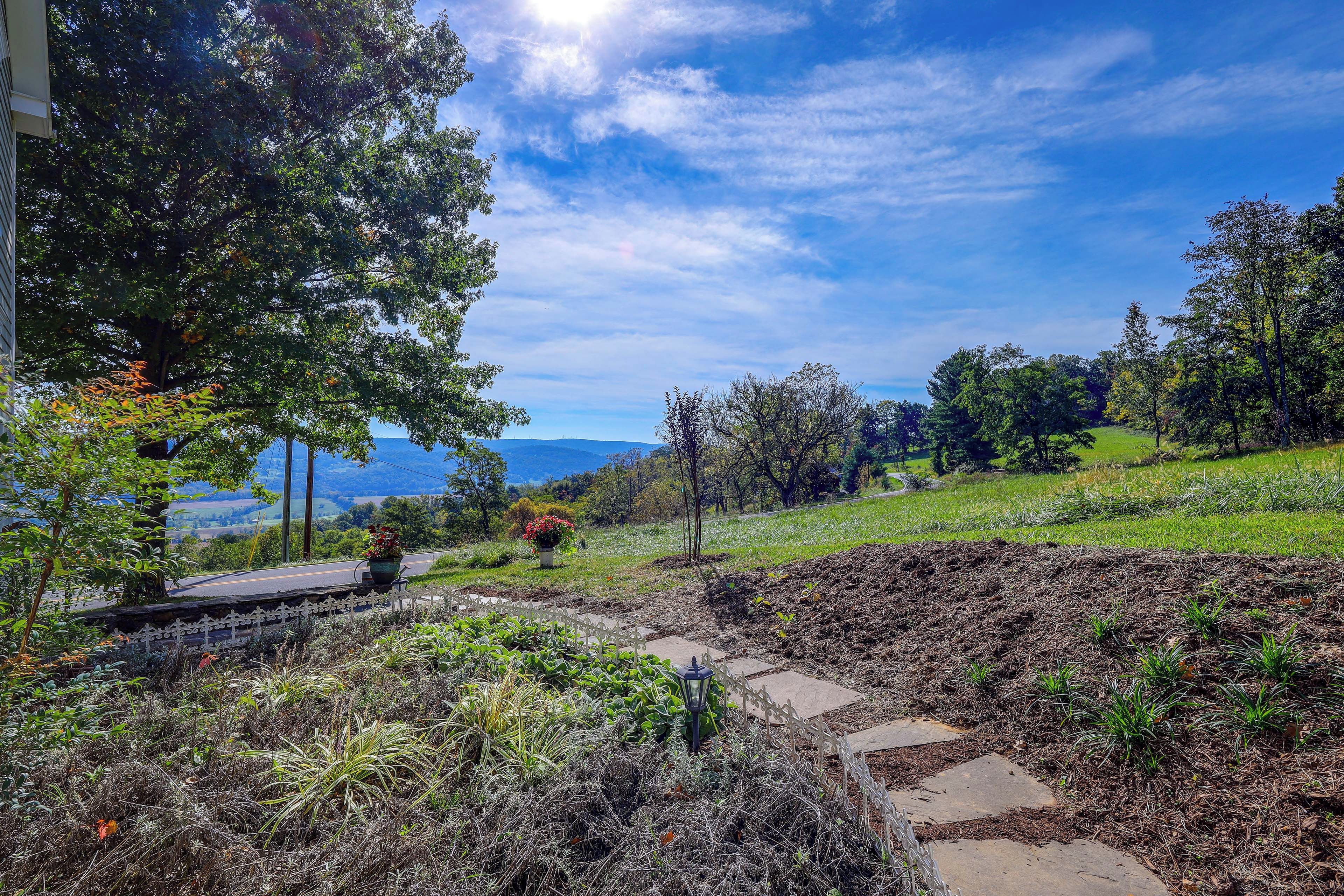 A landscaped garden with a pathway, potted plants, and a view of the landscape.