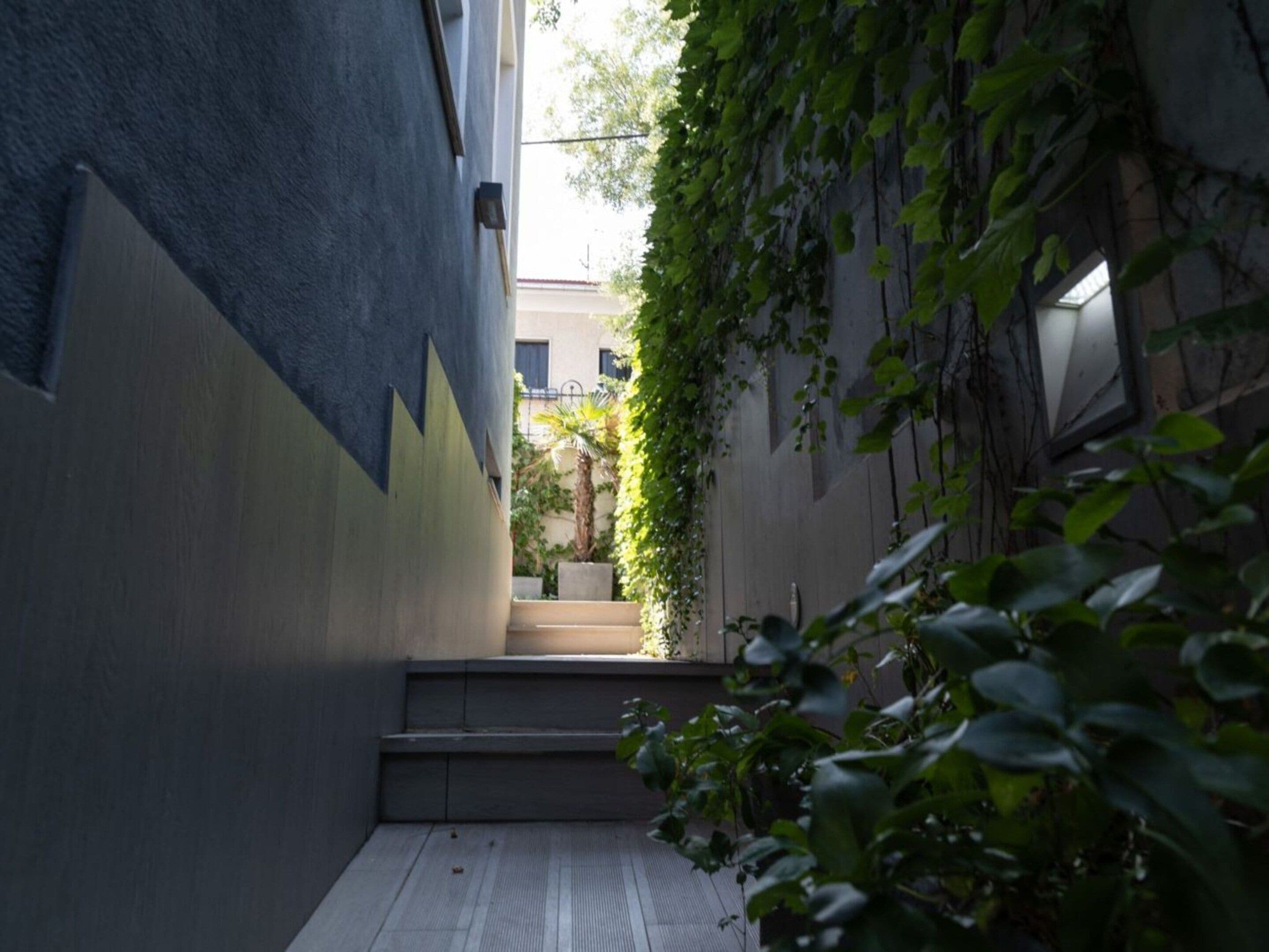 A narrow alleyway with a concrete wall on one side and a wall covered in green ivy on the other. There are steps leading up to a door, and a small potted plant is visible on the steps.