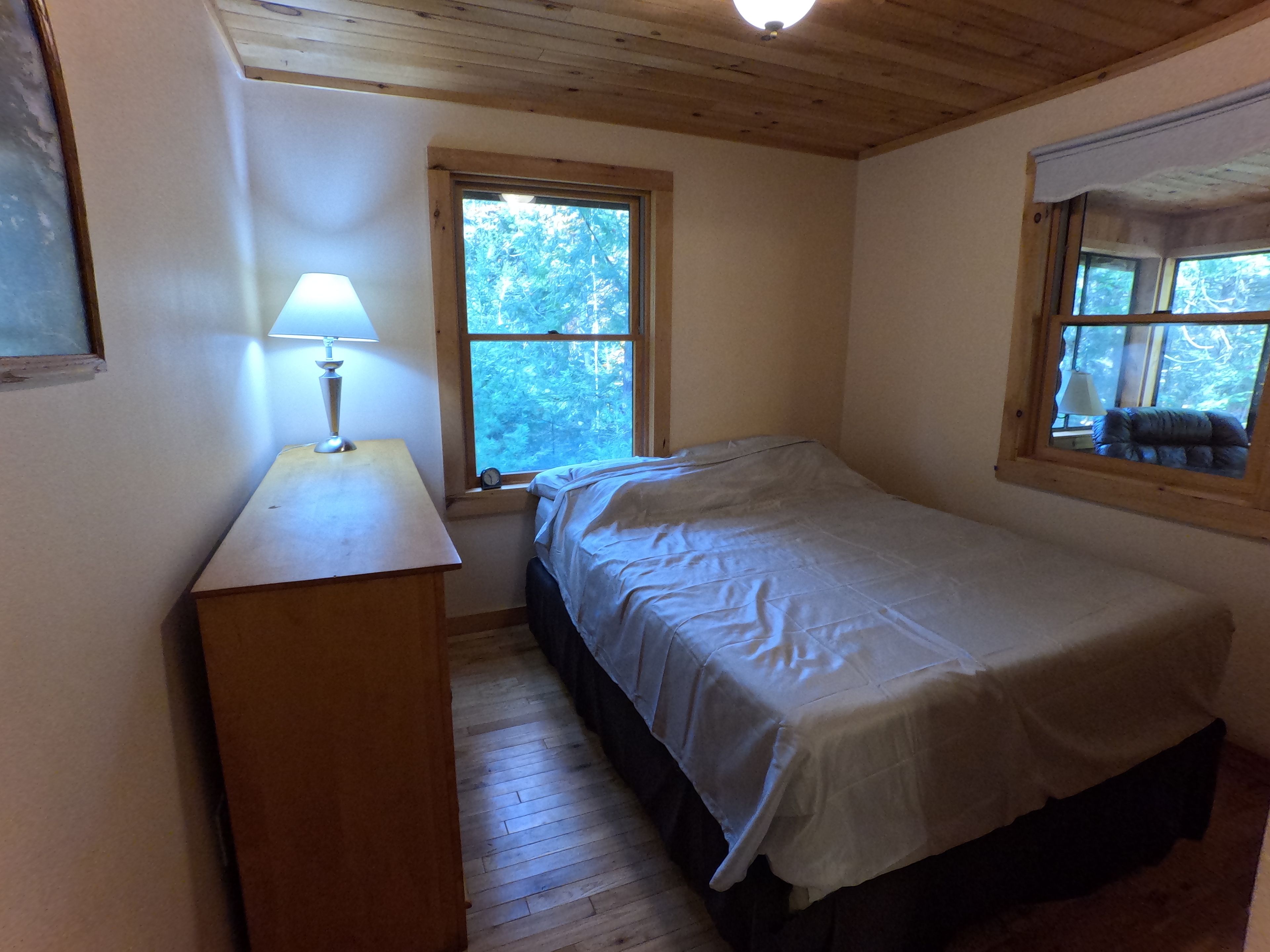 A bedroom with a single bed, a nightstand, a lamp, and two windows.