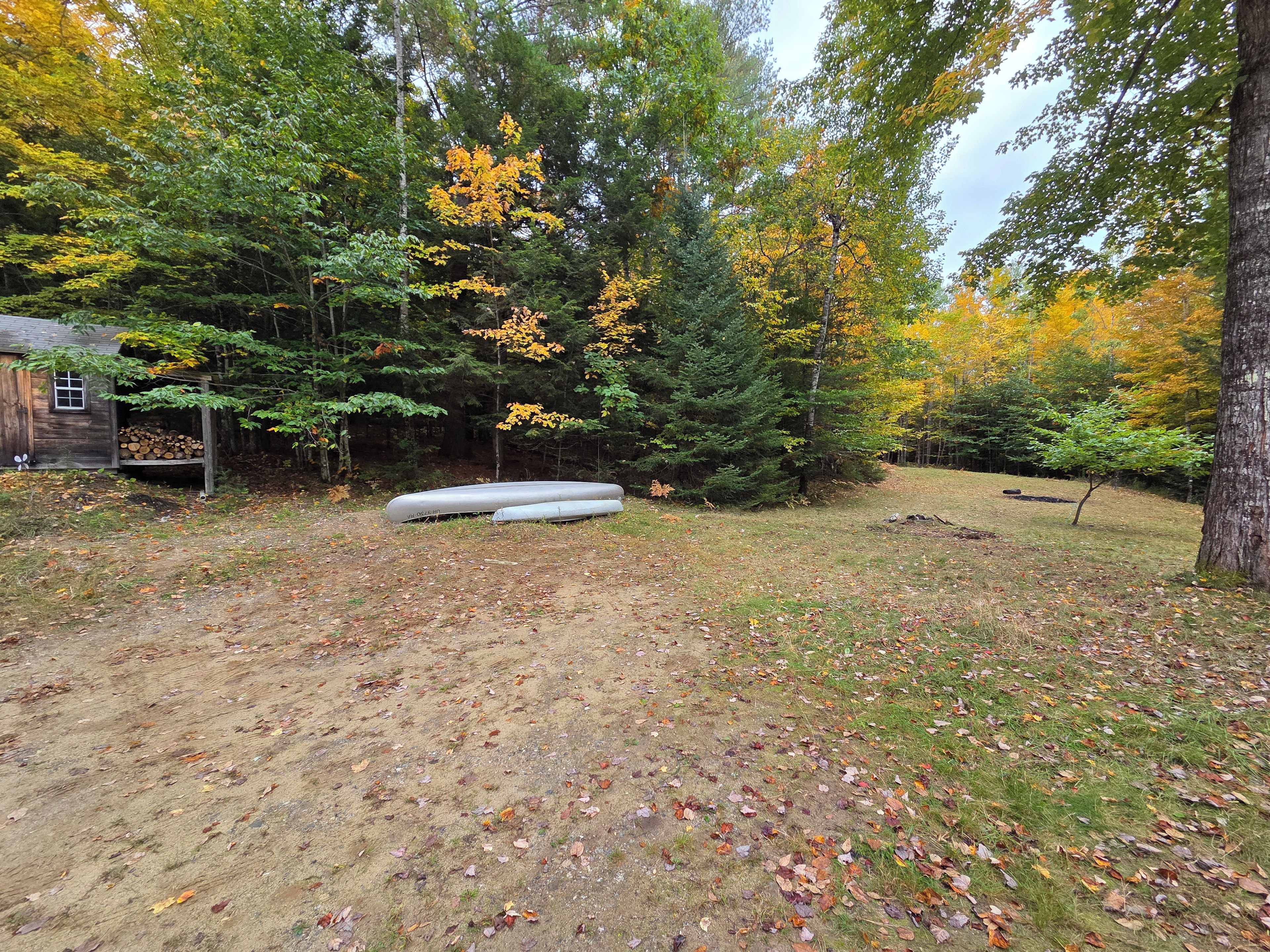 A forested area with a cabin, a pile of logs, and a canoe.