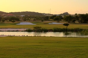 A golf course with sand bunkers, a pond with flamingos, and a solitary tree. - Poco Poco Villa at Blue Bay Resort | Pool, Beach & Golf (Willemstad)