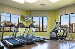A fitness room with treadmills, an elliptical, and a large window with a view of palm trees. - Storey Lake 10 mim -> Disney 4bd/3ba (Kissimmee)
