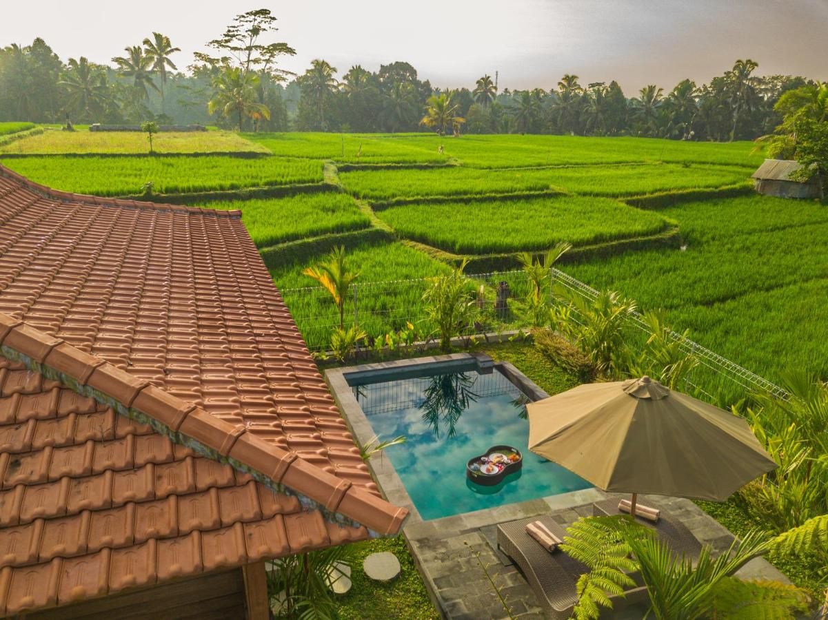 A terraced rice field with a swimming pool and a tiled roof.