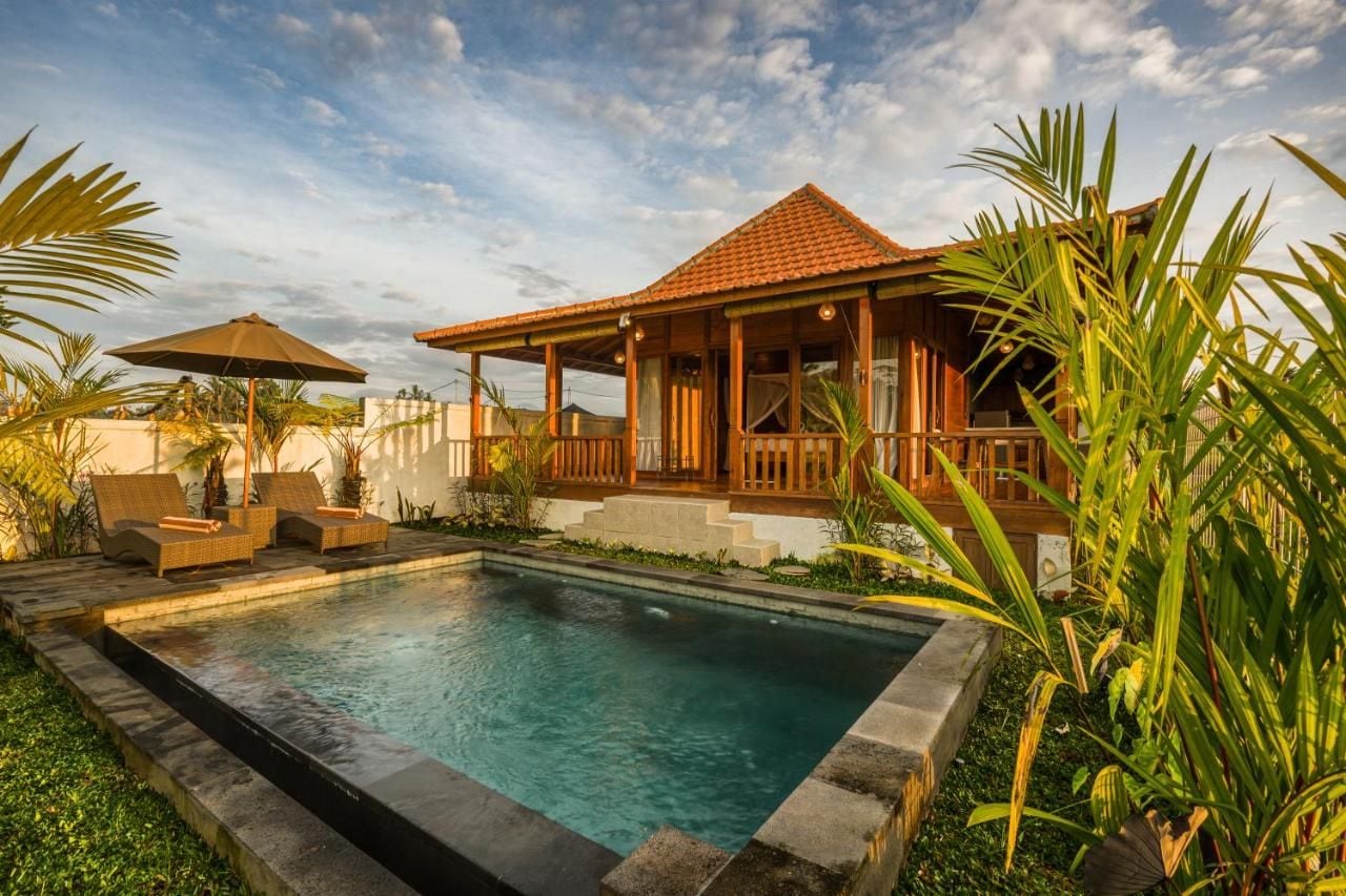 Kolam renang