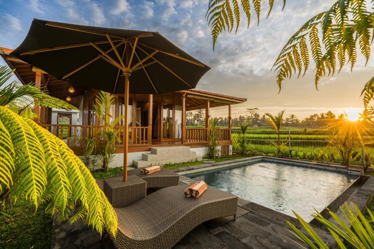 Un espace aménagé au bord de la piscine, comprenant un coin salon abrité, une piscine et une végétation luxuriante tout autour.