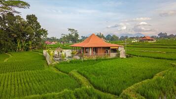 Bahagian luar