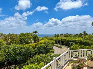 Un exuberante jardín con un sendero curvo que lleva a una barandilla blanca con vista al mar.