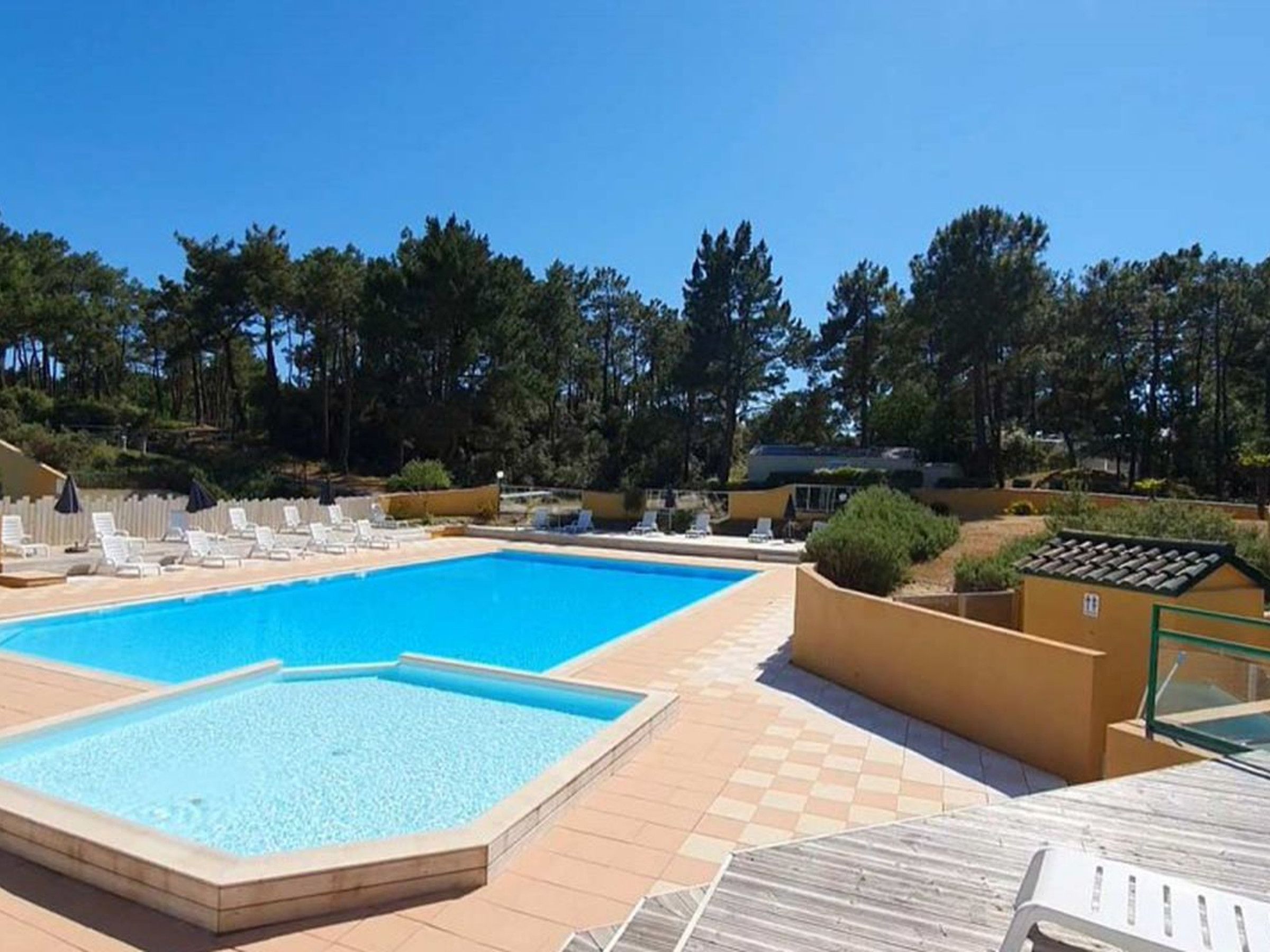 A swimming pool with lounge chairs and a sunshade, surrounded by trees and a clear sky.