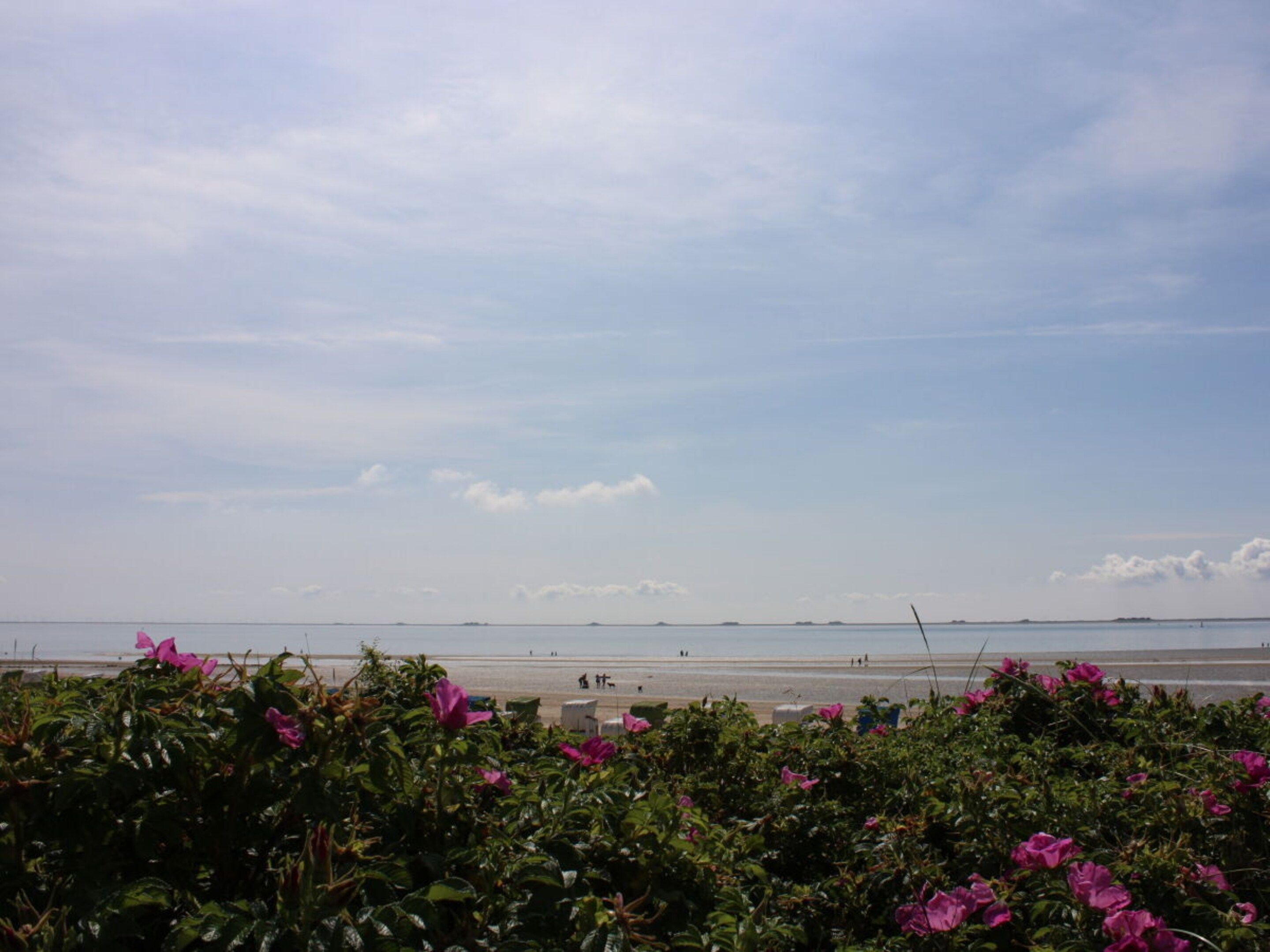Praia com céu claro e terra ao longe.