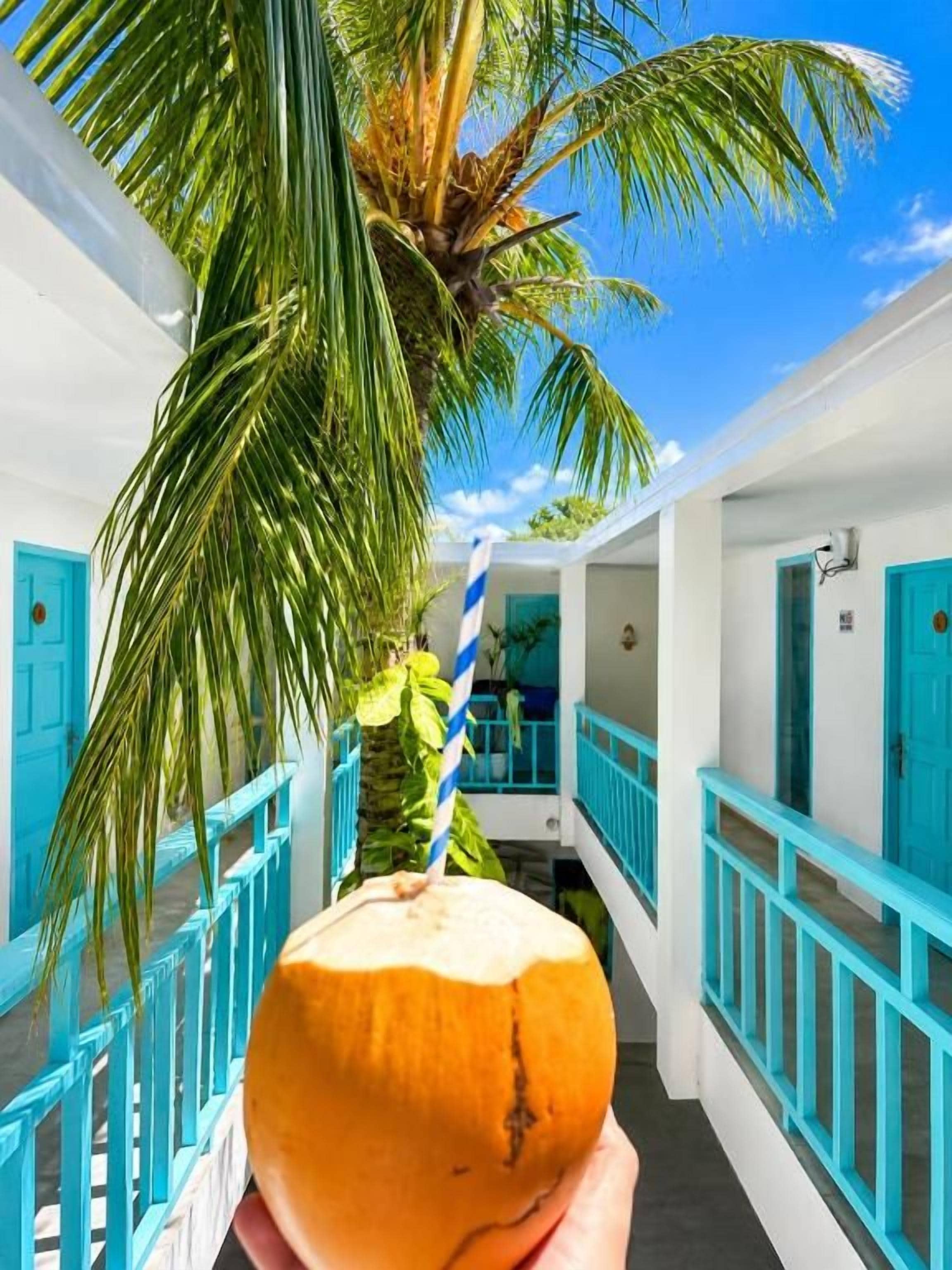 A corridor with a palm tree, a coconut with a straw, and blue railings.