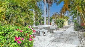 A paved walkway with benches, surrounded by lush greenery and palm trees. - Coco Plum Beach Paradise 1 bedroom apt, great view, boat slip (Marathon)